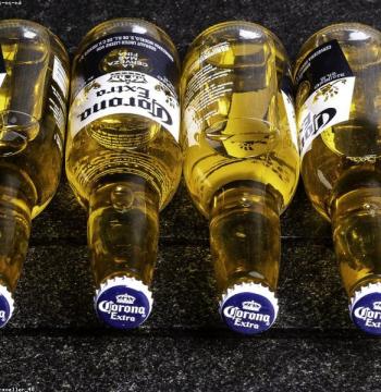 Pinta Cervecera 500ml
